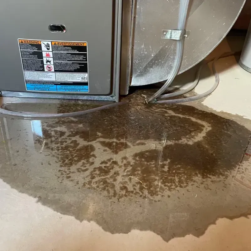 Appliance Leak Cleanup in Byram, MS